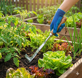 Estirpatore Arieggiatore Zappetta in Acciaio Inox