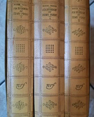 A la recherche du temps perdu (Proust)