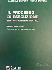 Il processo di esecuzione nel suo aspetto pratico