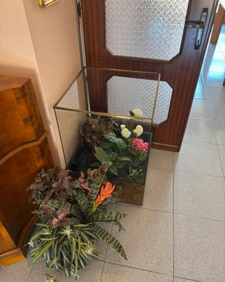 Terrario in ottone e vetro
