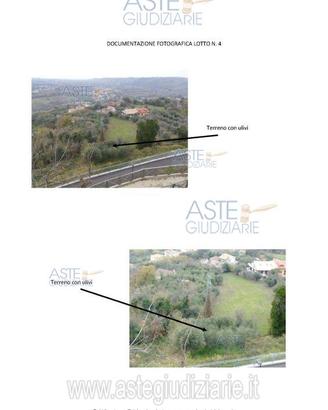 Terreno Agricolo Miglianico [A4329850]