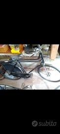 Bici a motore 