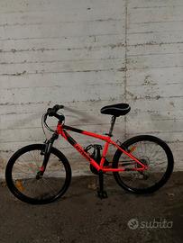 bicicletta  mouintain bike prezzo trattabile