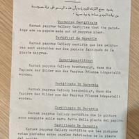 Egitto/papiri dipinti(moderni)