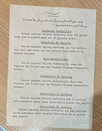 Egitto/papiri dipinti(moderni)
