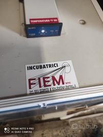 incubatrice per uova