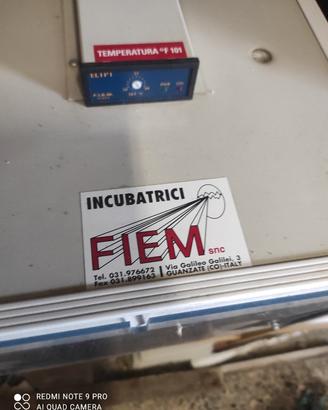 incubatrice per uova