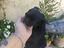 Immagine 5