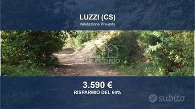 Immobile in asta di 5430 m² a Luzzi