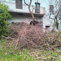 mucchio di legna fina per accendere il fuoco