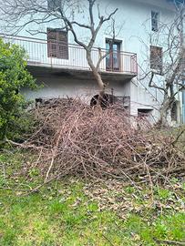 mucchio di legna fina per accendere il fuoco