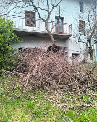 mucchio di legna fina per accendere il fuoco