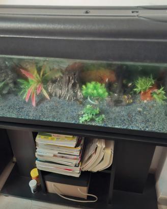 acquario 