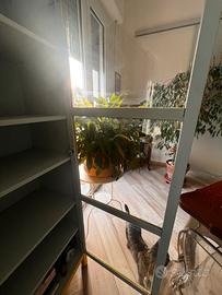 Vetrina /libreria vintage