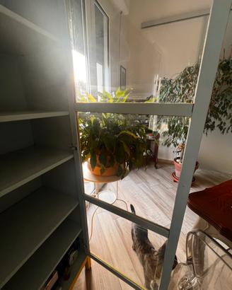 Vetrina /libreria vintage