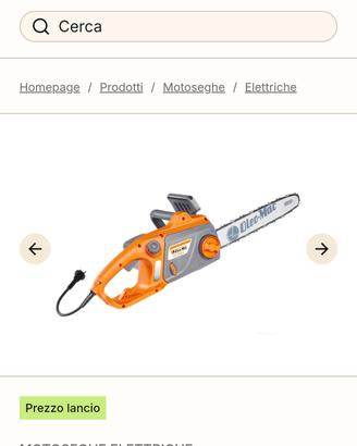 motosega elettrica 