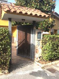 Pisoniano