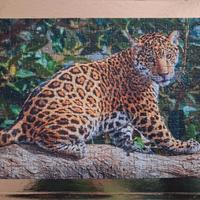puzzle Piccolo Jaguaro, 260 elementi. Castorland 