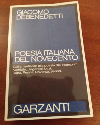 saggistica letteratura