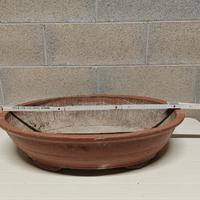 vaso x coltivazione bonsai grandi dimensioni 