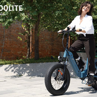 Bicicletta elettrica DYU FF500Lite