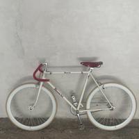 Bici Bianchi sella Brooks