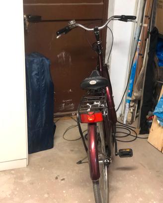 Bici da donna