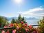 Immagine 18