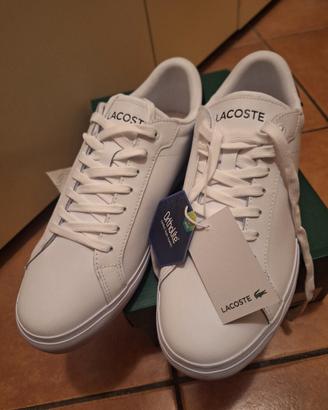 scarpe lacoste nuovo 42