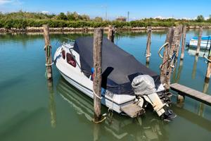 Pilotina dislocante con motore johnson 40cv