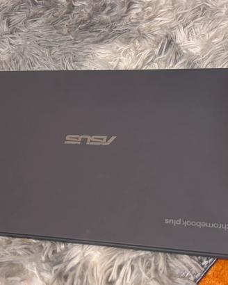 Asus chromebook pkus