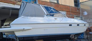 Fiart 30 2x231 volvo penta