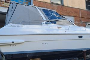 Fiart 30 2x231 volvo penta