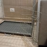 Kennel