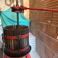 Torchio uva vino