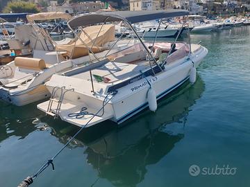 Abbate Primatist 23 Full Optional