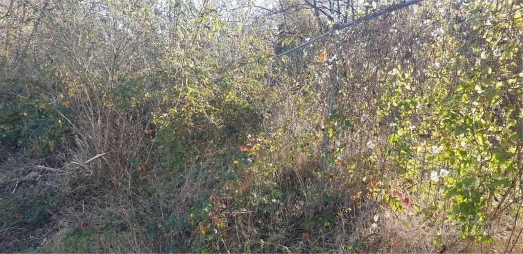 Immobile in asta di 1700 m² a Rubiana - Vista 3