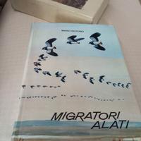 Migratori Alati di Mario Rotondi 1962