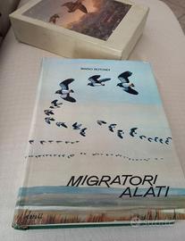 Migratori Alati di Mario Rotondi 1962