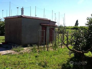 Magazzino con terreno