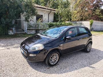 Fiat Punto Evo 1.4 5 porte S&S Active BENZINA/META