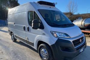 FIAT DUCATO 2.3 MULTIJET ISOTERMICO ANNO KM 20
