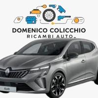RICAMBI USATI RENAULT CLIO 2024