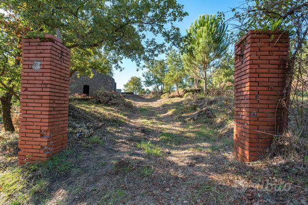 Terreno agricolo - Trecastagni