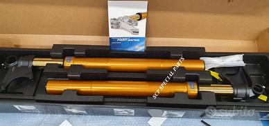 Forcelle ohlins fgrt 301 ducati diavel