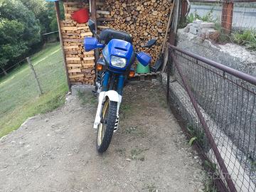 Honda dominator 650