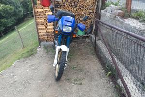 Honda dominator 650