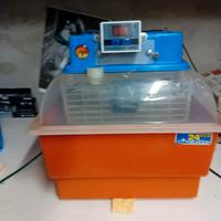 incubatrice