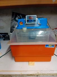 incubatrice
