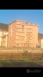 Bifamiliare attico terrazzo 180 mq box 21 mq